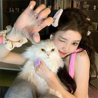 情寻猫脚印